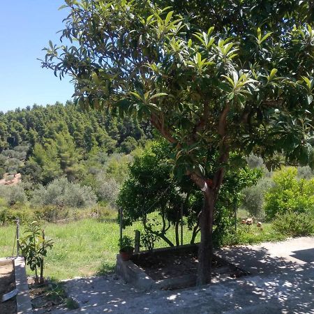 Agriovotano Wildherb House מראה חיצוני תמונה