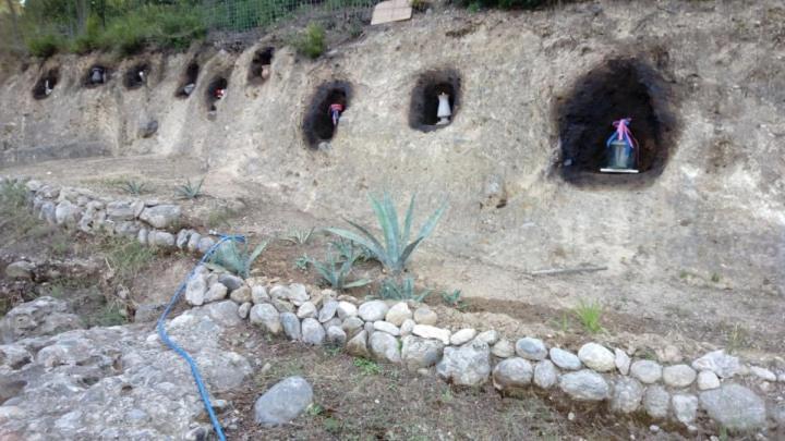 Agriovotano Wildherb House מראה חיצוני תמונה